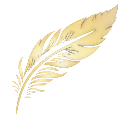 Katherine M Gargan Family Law Attorney in Carrollton Georgia - Feather Logo